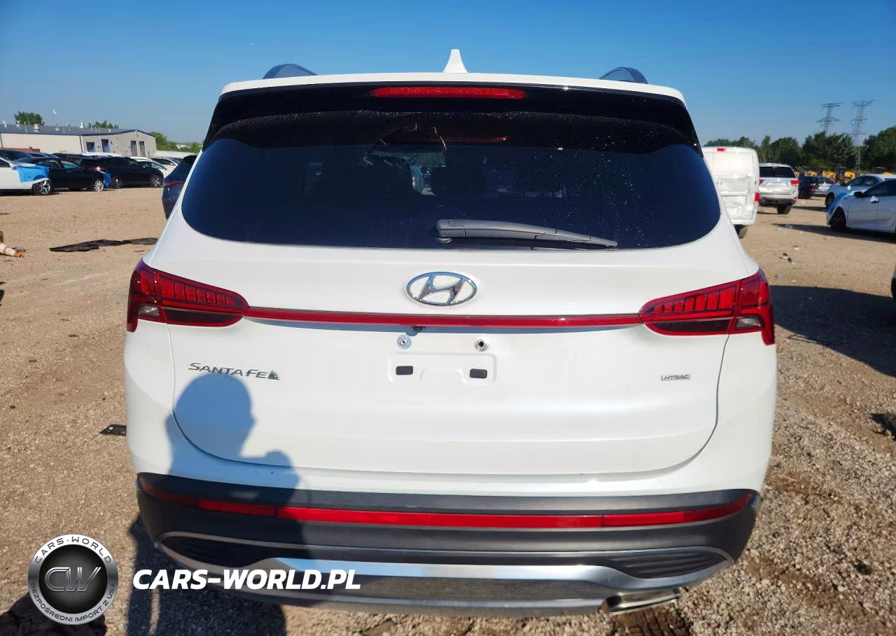 2021 Hyundai Santa Fe Sel VIN:5NMS3DAJ6MH352617 - 6