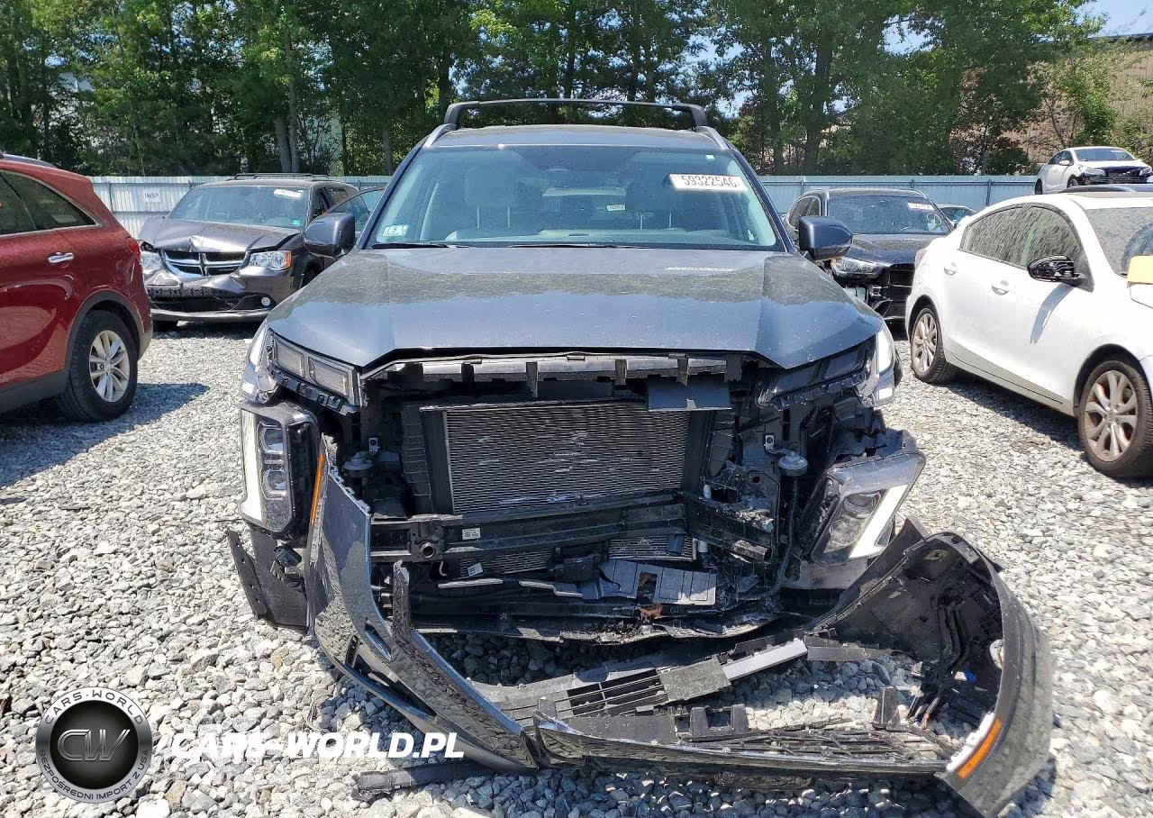 2025 Hyundai Palisade Sel Premium VIN:KM8R4DGE6SU816612 - 5