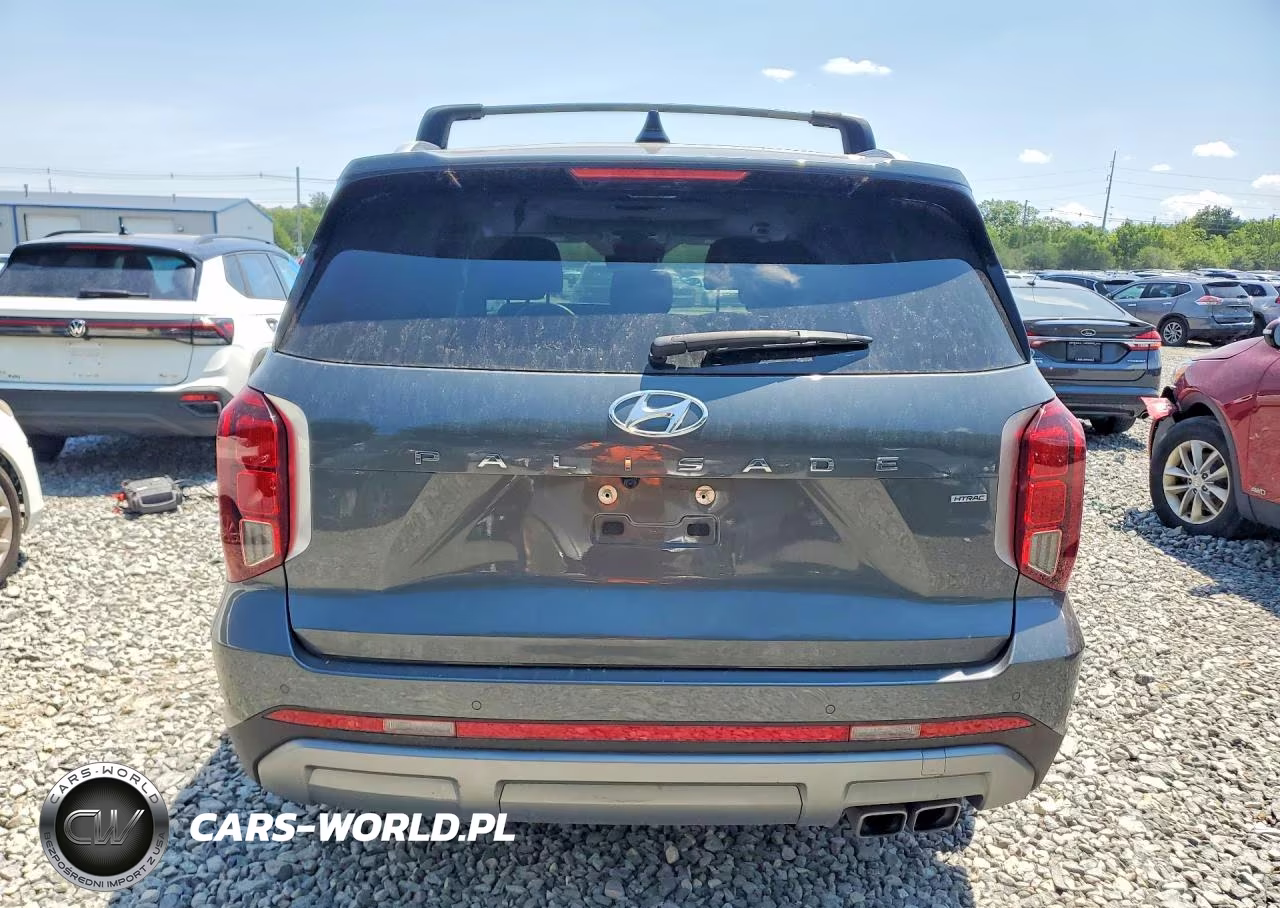 2025 Hyundai Palisade Sel Premium VIN:KM8R4DGE6SU816612 - 6