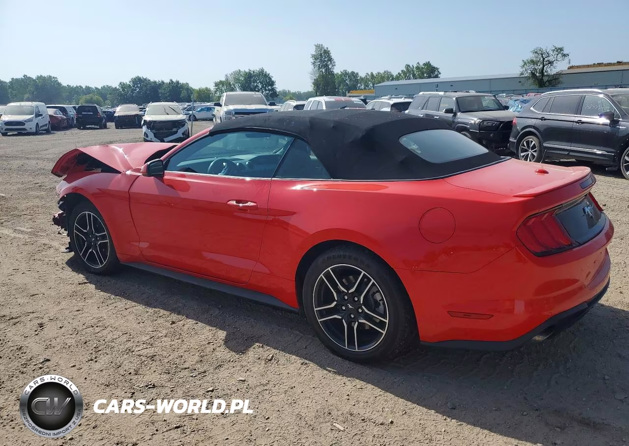 2021 Ford Mustang VIN:1FATP8UH5M5116591 - 2