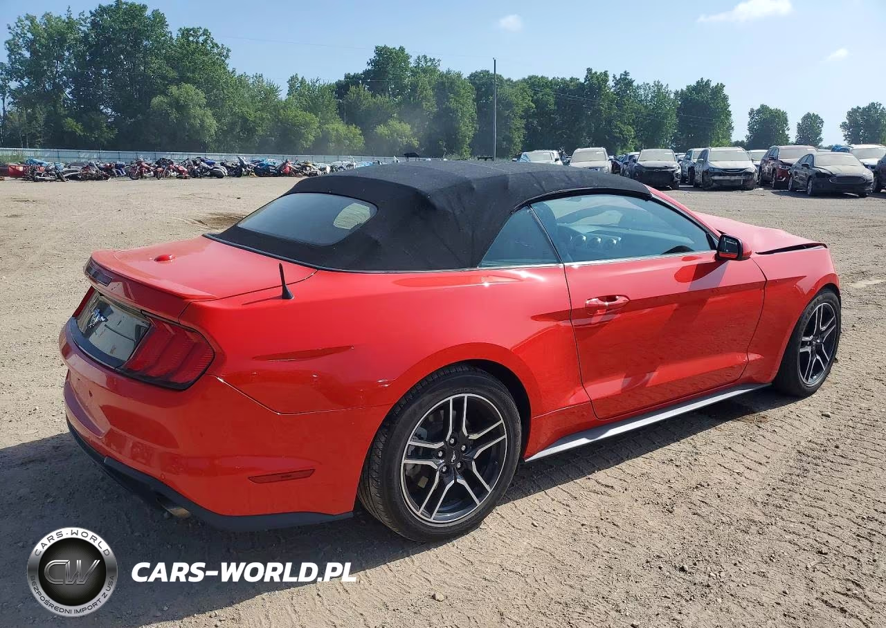 2021 Ford Mustang VIN:1FATP8UH5M5116591 - 3
