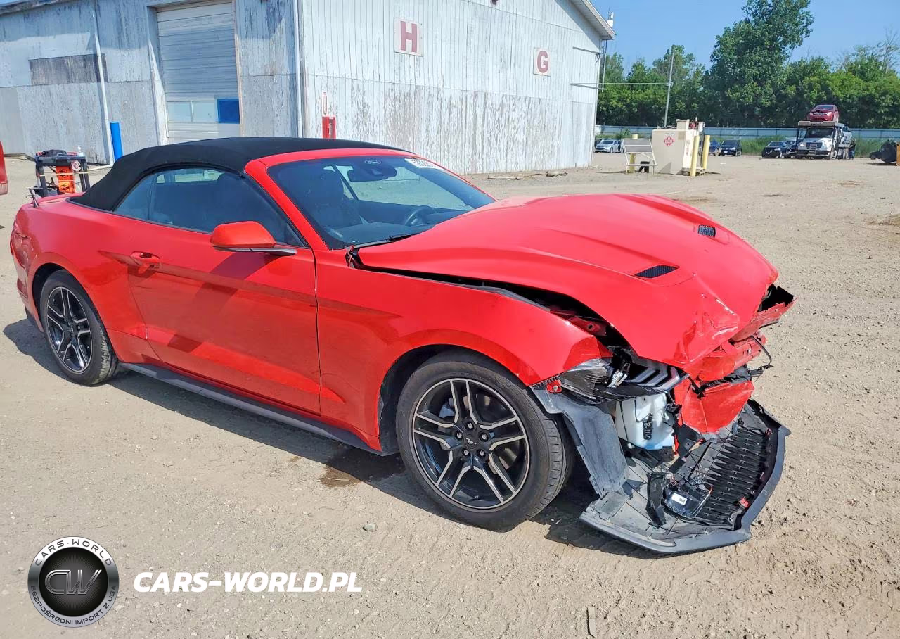 2021 Ford Mustang VIN:1FATP8UH5M5116591 - 4