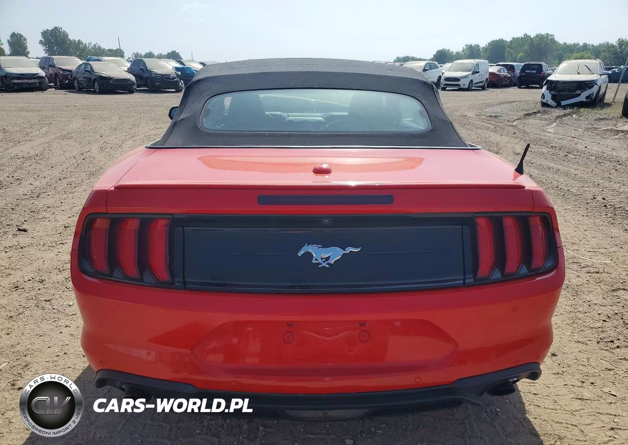 2021 Ford Mustang VIN:1FATP8UH5M5116591 - 6