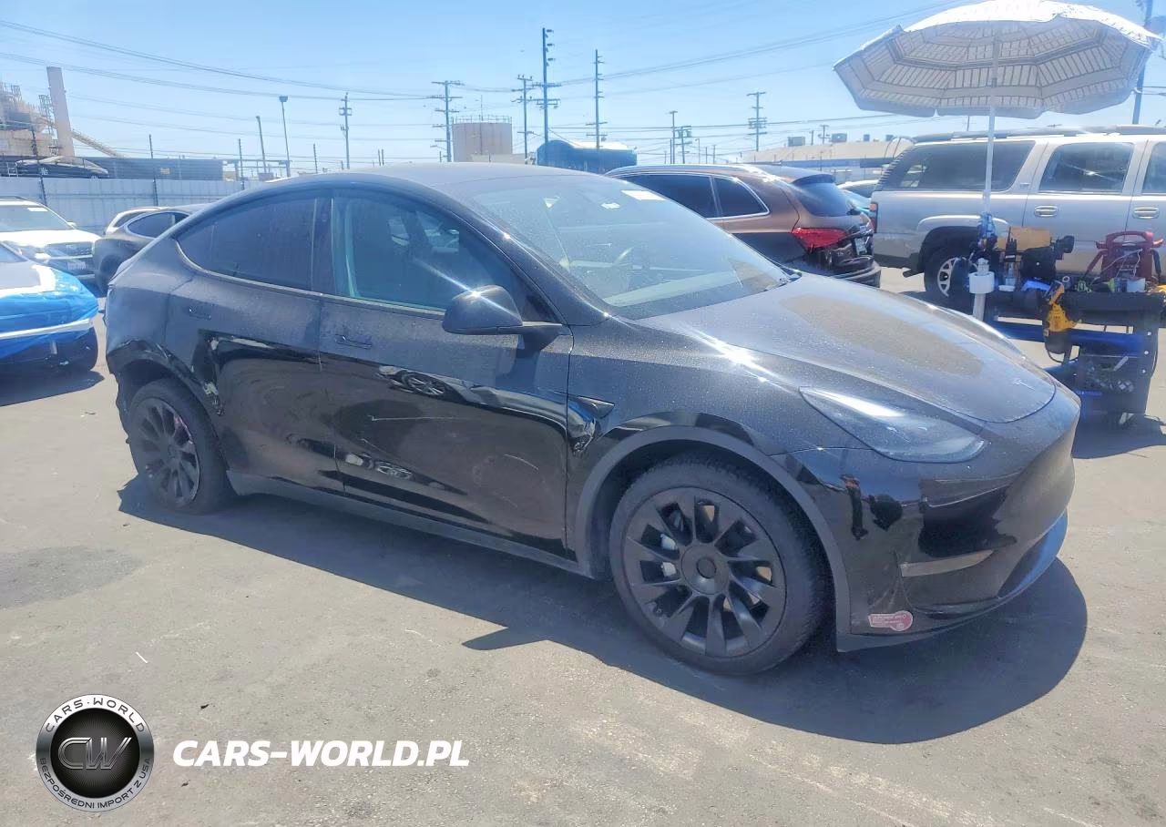 2024 Tesla Model Y VIN:7SAYGDEE4RA216247 - 4