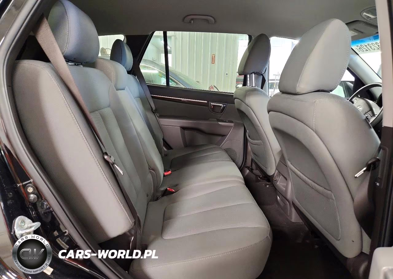 2010 Hyundai Santa Fe Gls VIN:5NMSGDAB6AH389417 - 11
