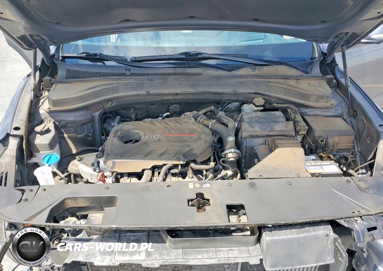 2019 Hyundai Santa Fe Ultimate 2.0T VIN:5NMS5CAA1KH016472 - 12