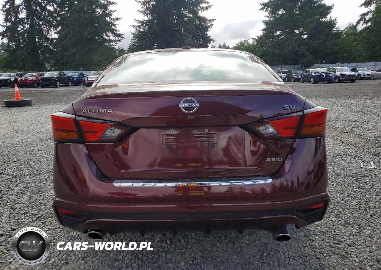 2023 Nissan Altima Sv VIN:1N4BL4DW0PN389358 - 6