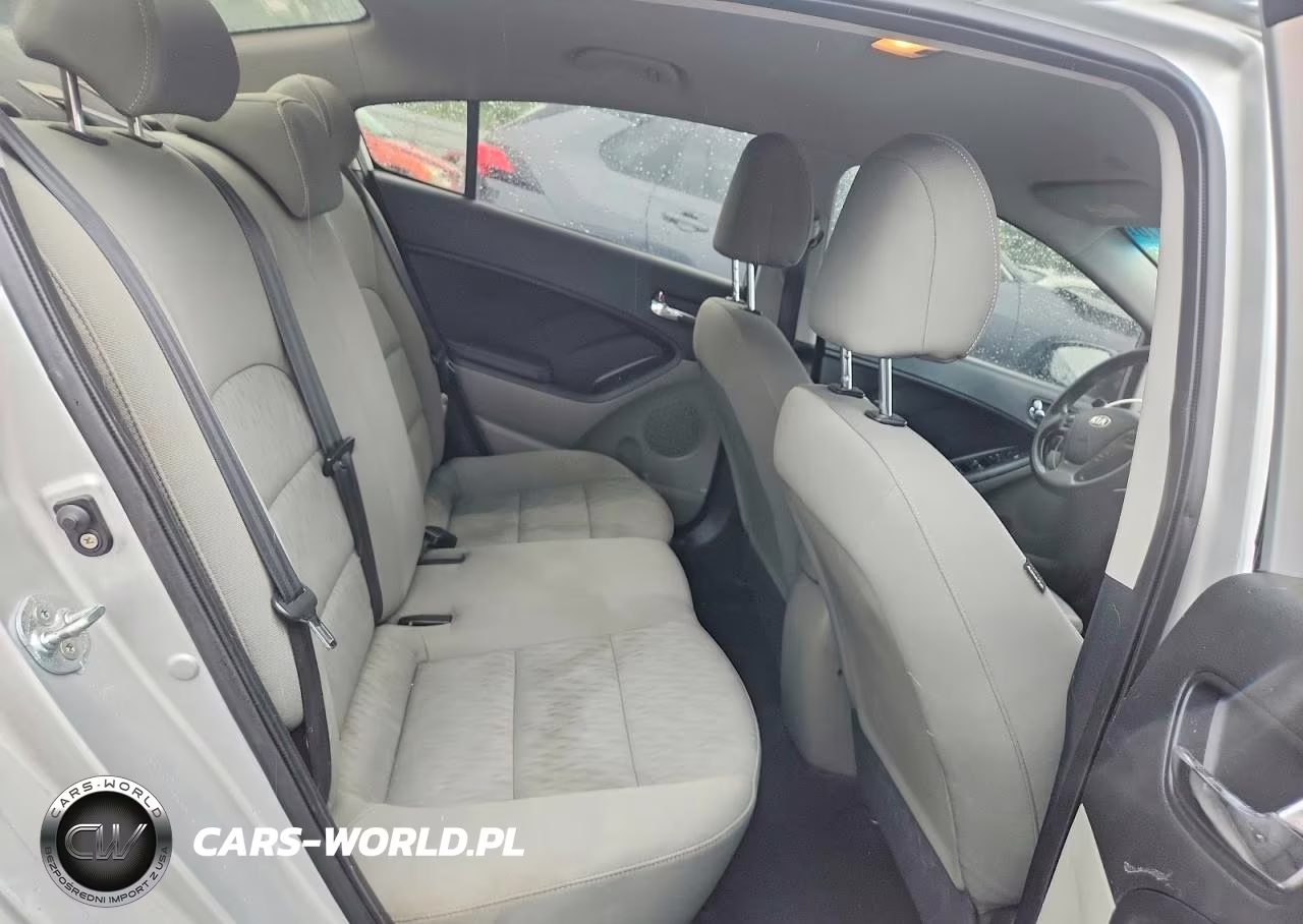 2014 Kia Forte Lx VIN:KNAFK4A6XE5071826 - 10