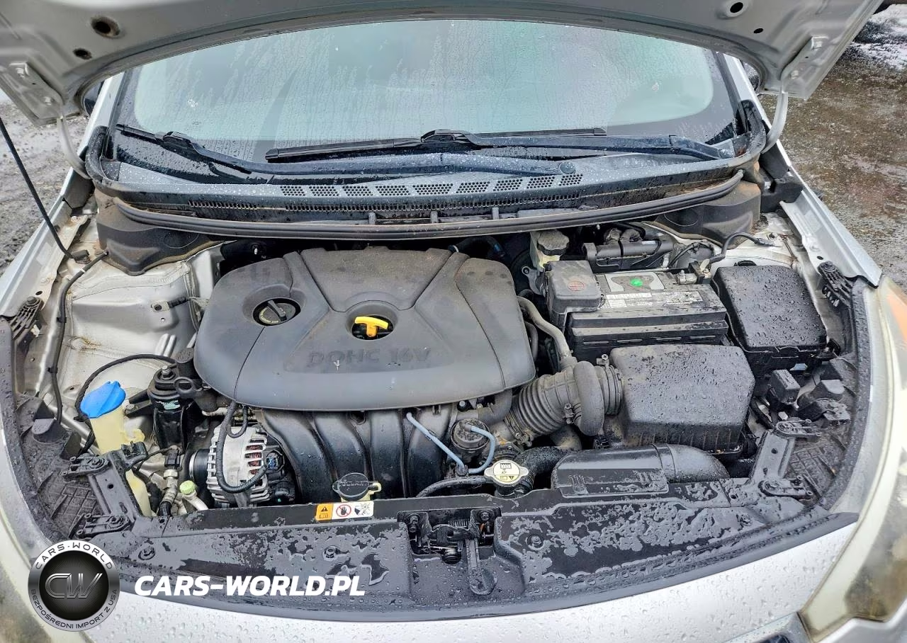 2014 Kia Forte Lx VIN:KNAFK4A6XE5071826 - 11
