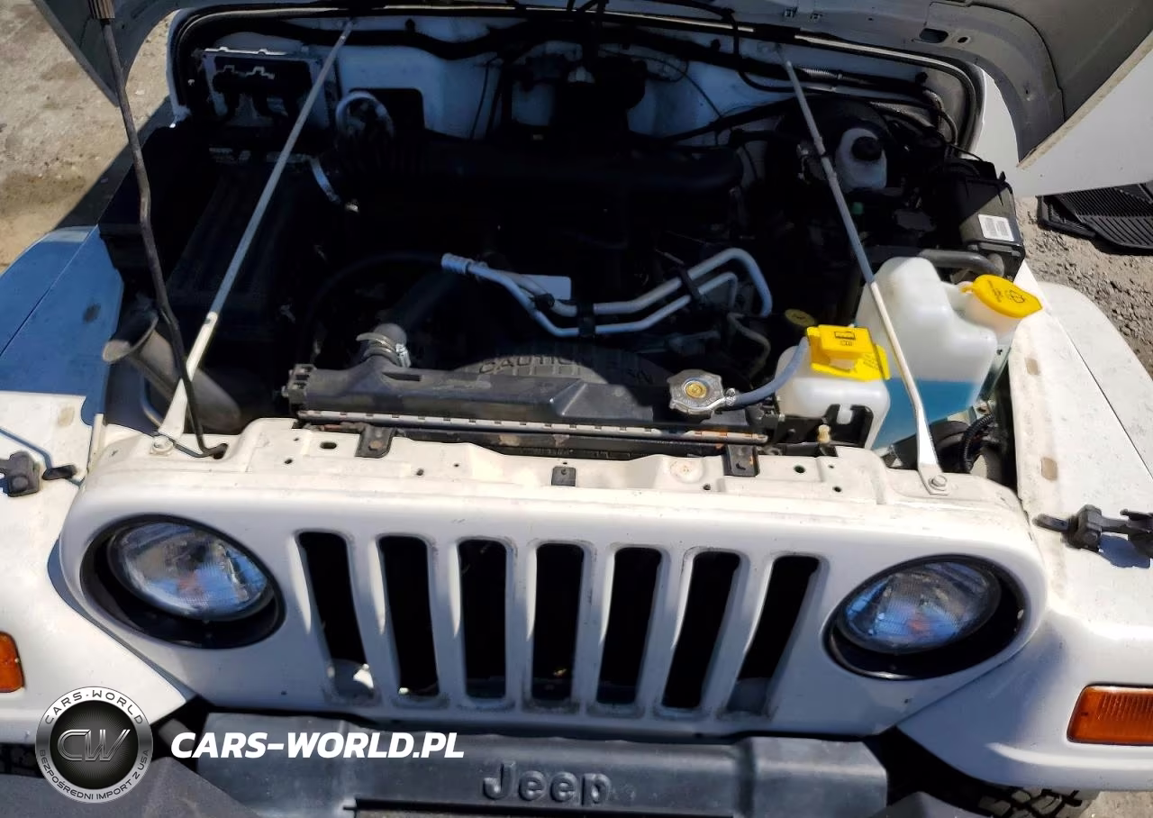 2002 Jeep Wrangler - Tj Sahara VIN:1J4FA59S12P731775 - 12
