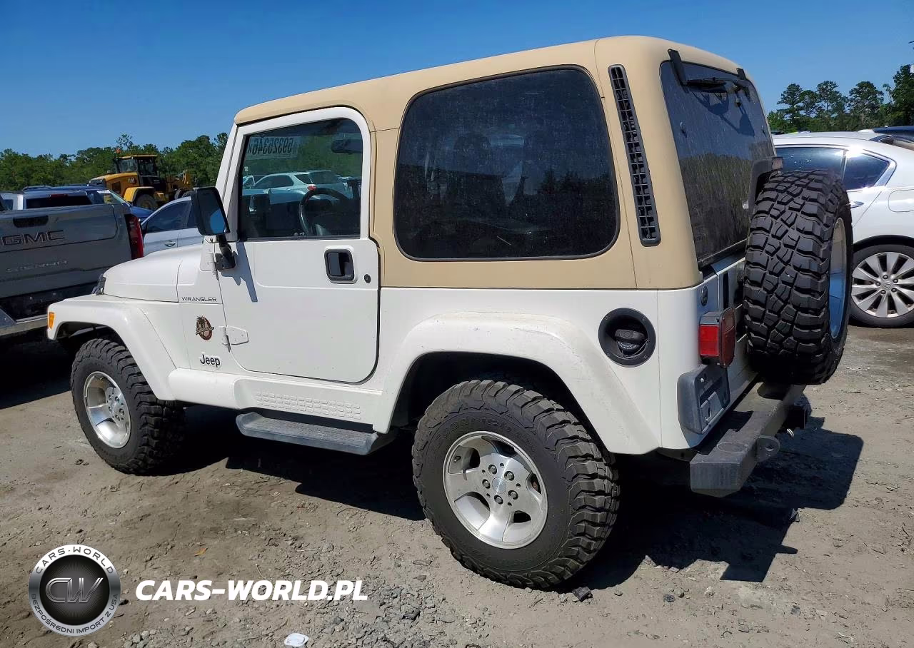 2002 Jeep Wrangler - Tj Sahara VIN:1J4FA59S12P731775 - 2