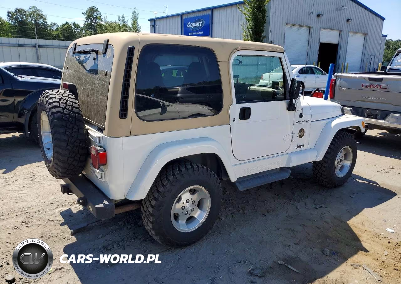 2002 Jeep Wrangler - Tj Sahara VIN:1J4FA59S12P731775 - 3
