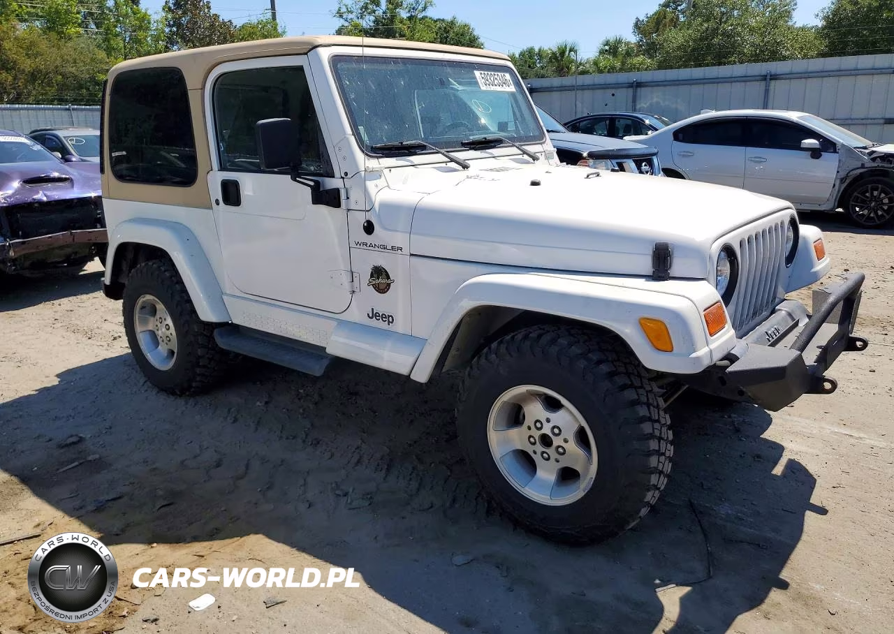 2002 Jeep Wrangler - Tj Sahara VIN:1J4FA59S12P731775 - 4