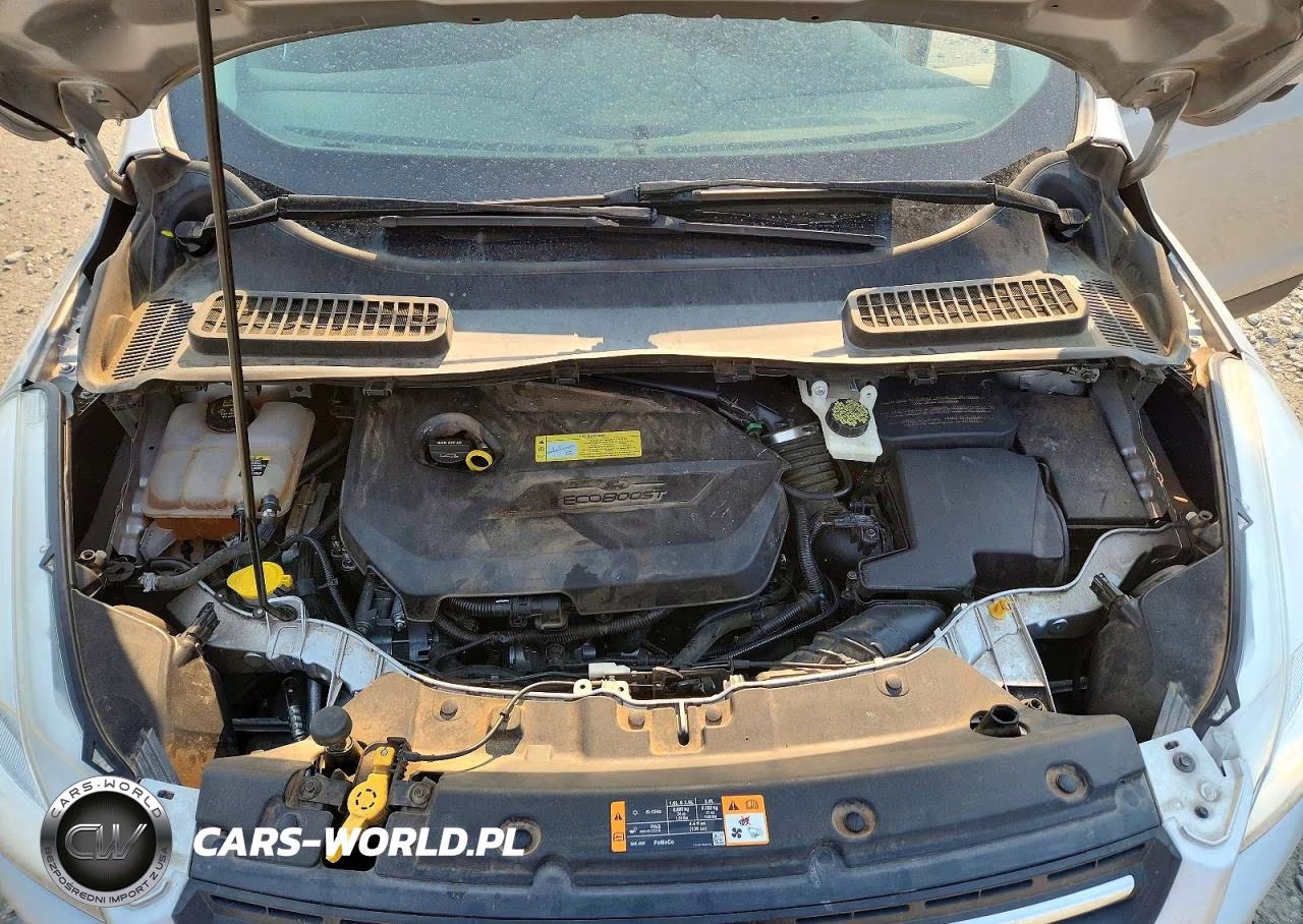 2013 Ford Escape Se VIN:1FMCU9GX2DUC61942 - 12
