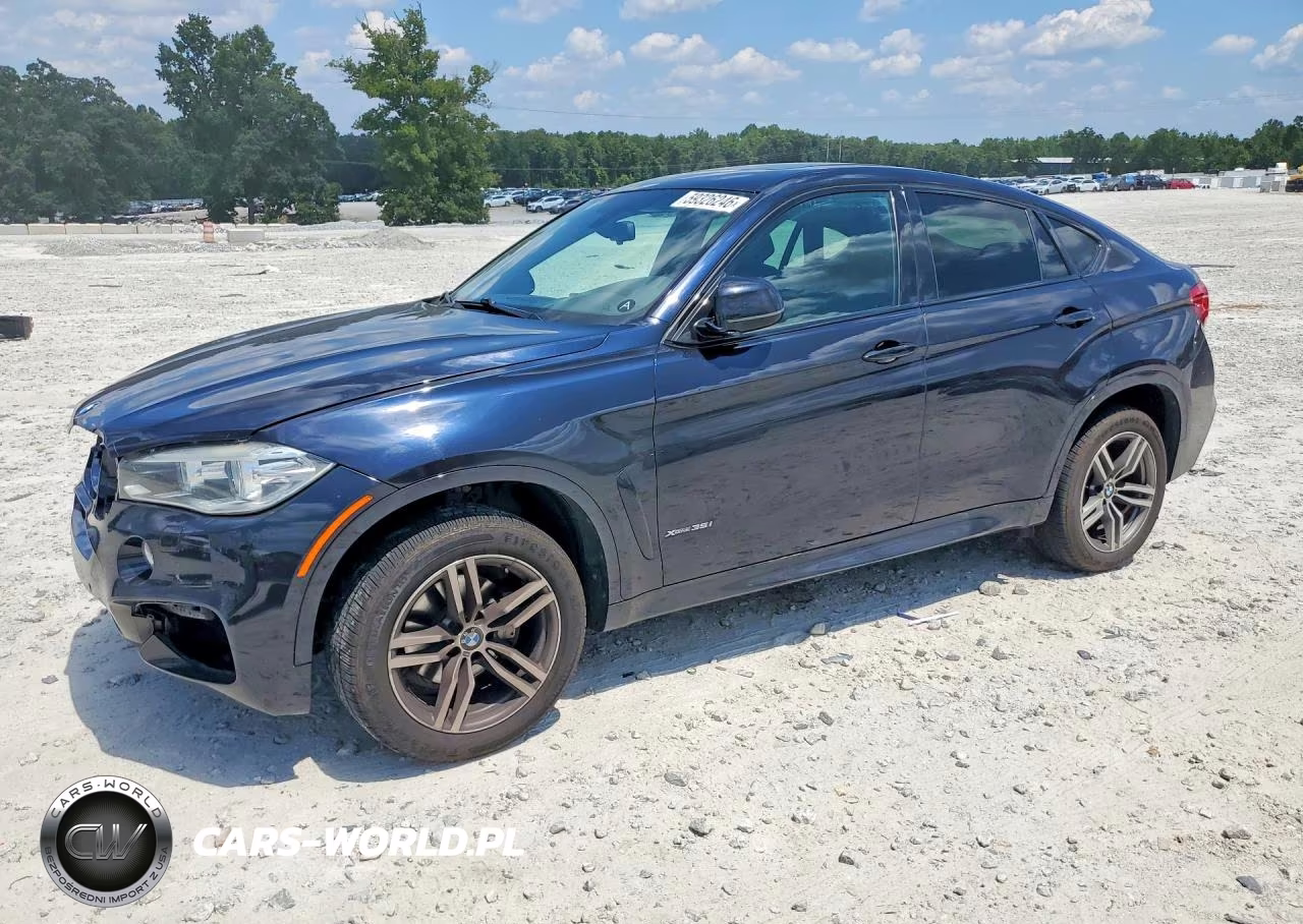 2016 BMW X6 xDrive35I – zdjęcie 1 z 13