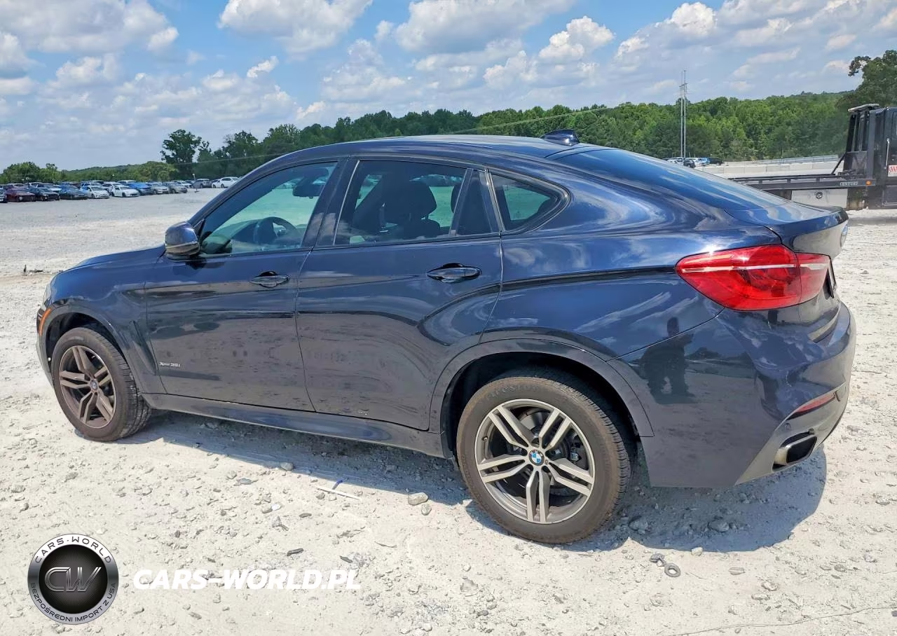 2016 BMW X6 xDrive35I VIN:5UXKU2C58G0N79585 - 2