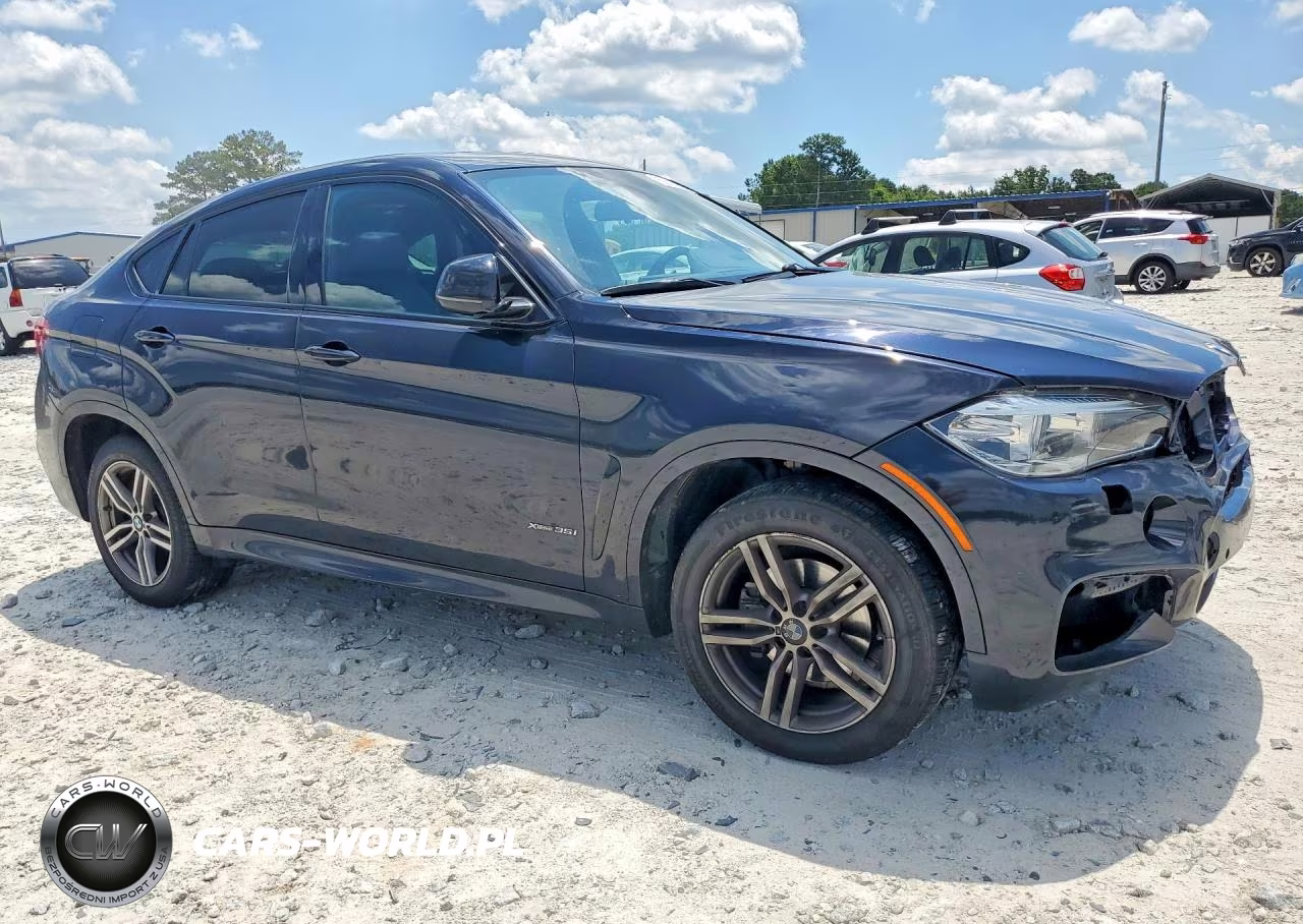 2016 BMW X6 xDrive35I VIN:5UXKU2C58G0N79585 - 4