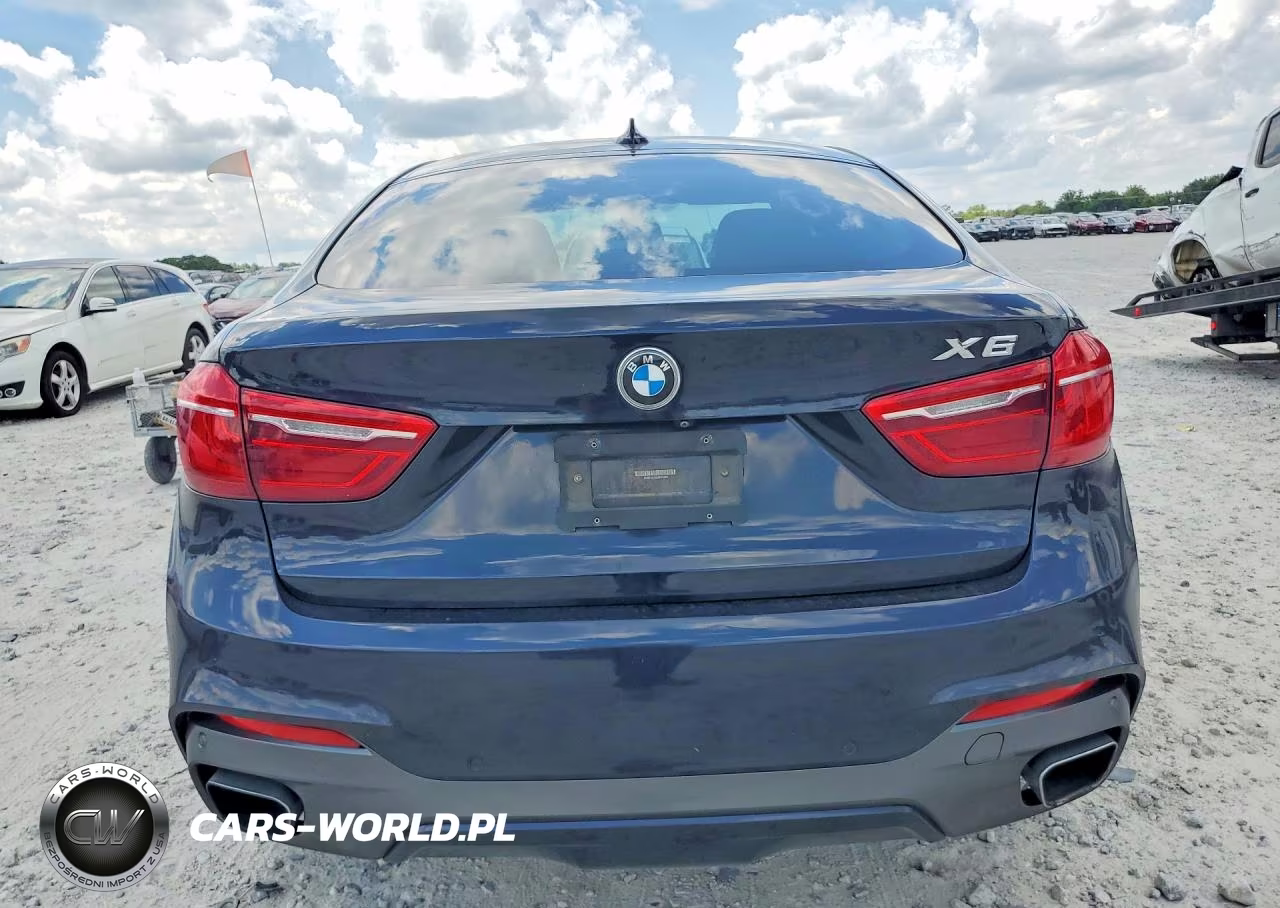 2016 BMW X6 xDrive35I VIN:5UXKU2C58G0N79585 - 6
