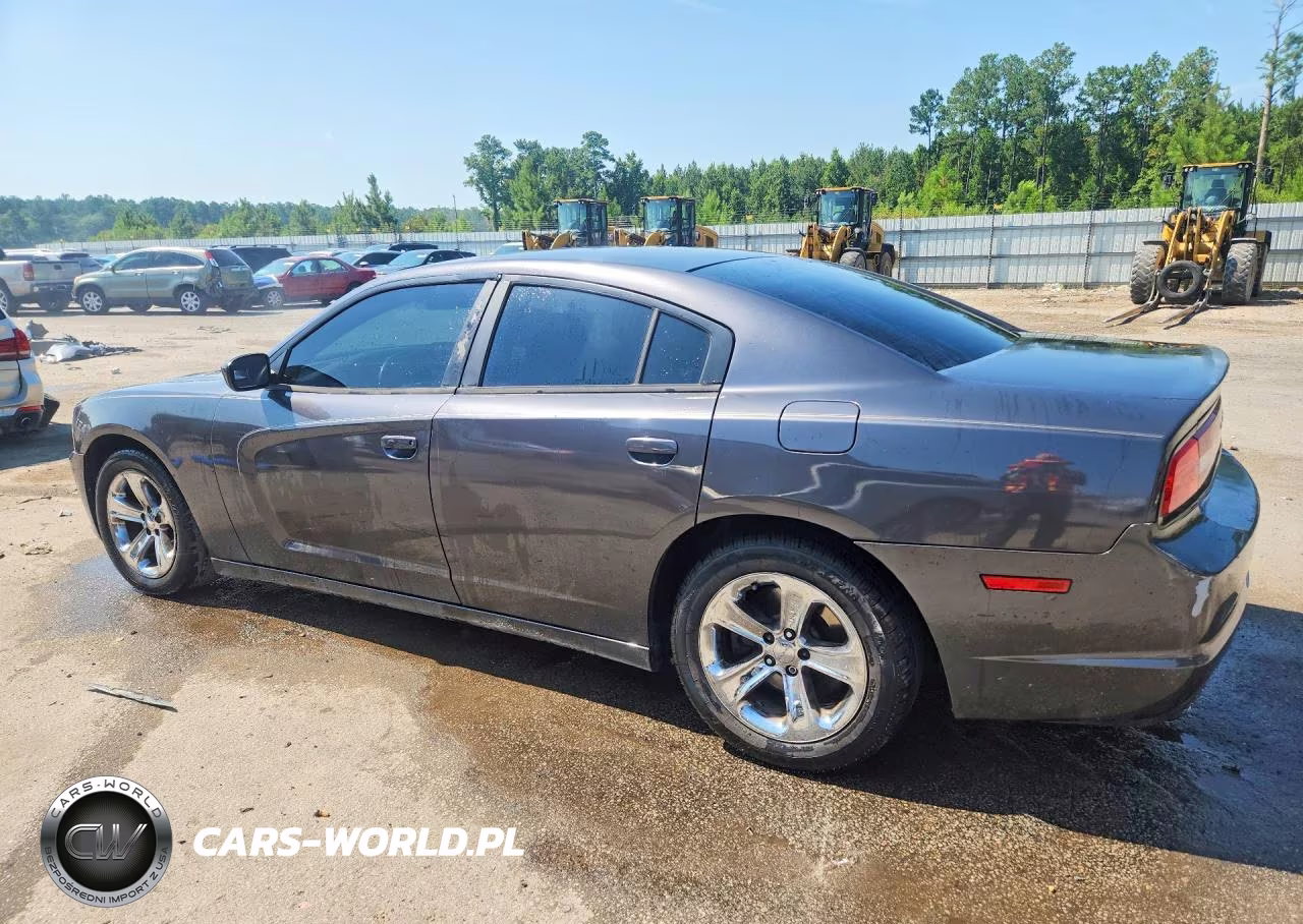 2014 Dodge Charger Police VIN:2C3CDXAT3EH348675 - 2