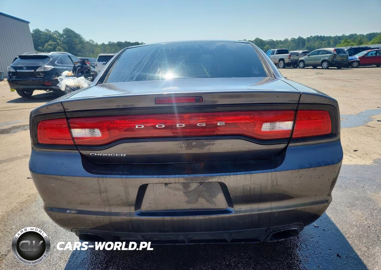2014 Dodge Charger Police VIN:2C3CDXAT3EH348675 - 6