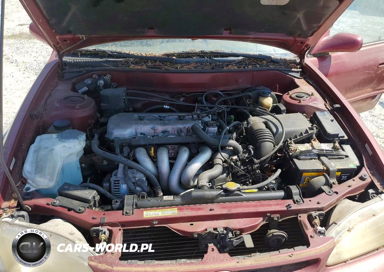 1999 Toyota Corolla Ve VIN:1NXBR18E2XZ142496 - 11