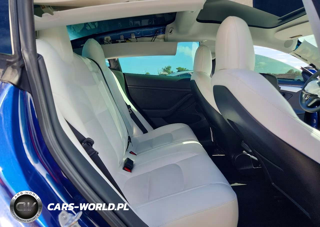 2023 Tesla Model 3 VIN:5YJ3E1EA4PF412388 - 10