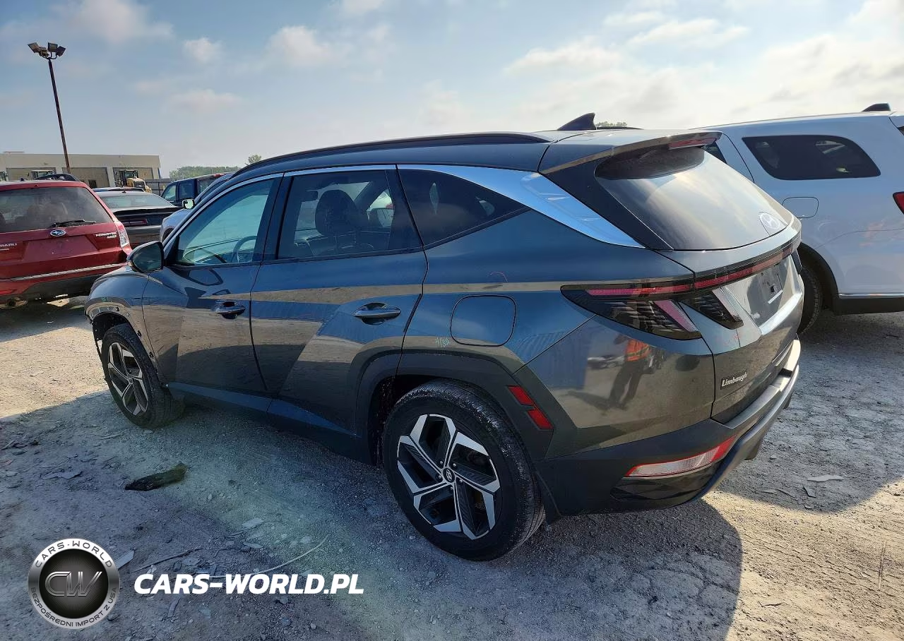 2023 Hyundai Tucson Limited VIN:5NMJECAE3PH164726 - 2