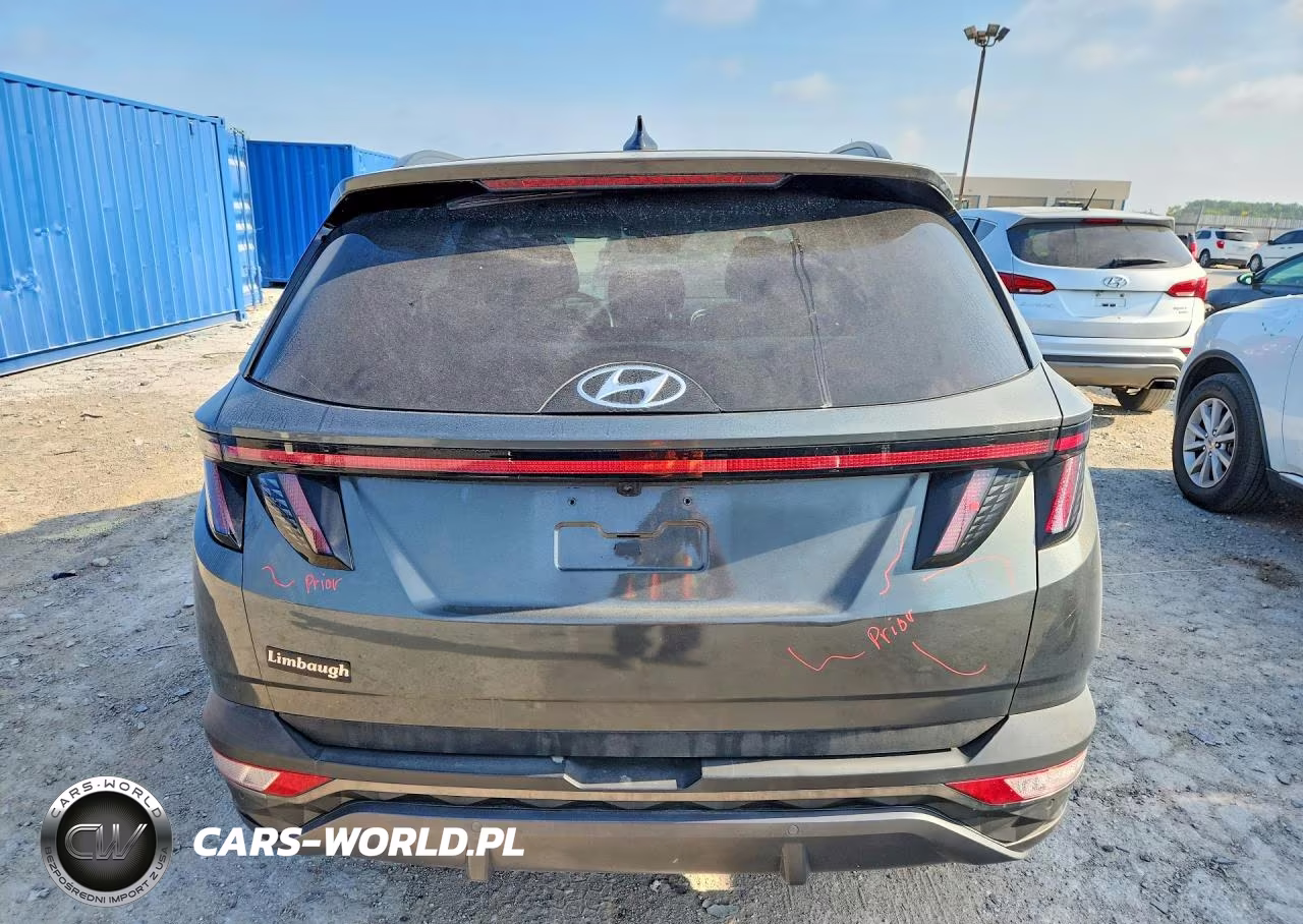 2023 Hyundai Tucson Limited VIN:5NMJECAE3PH164726 - 6