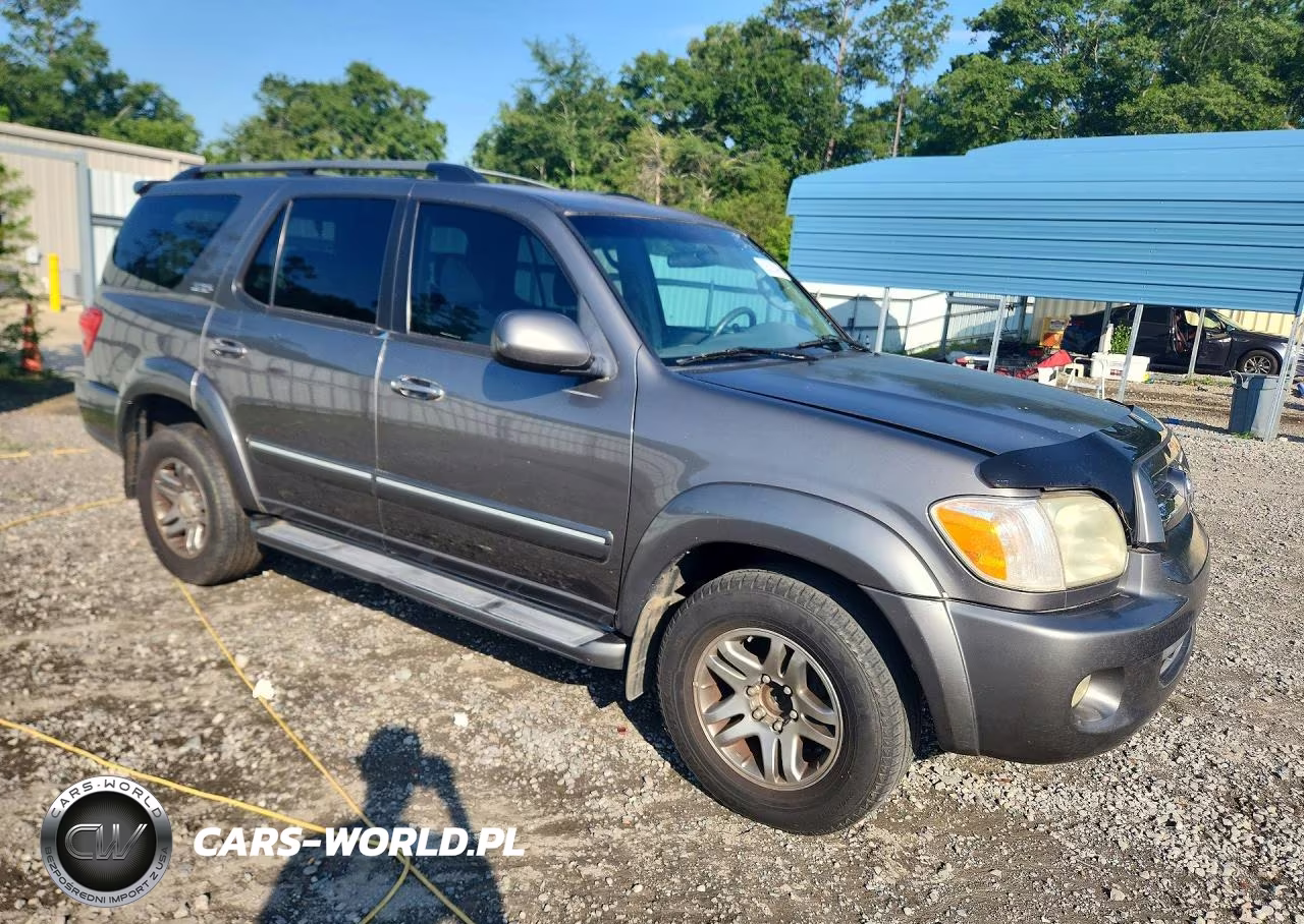 2006 Toyota Sequoia Sr5 VIN:5TDZT34A16S271383 - 4