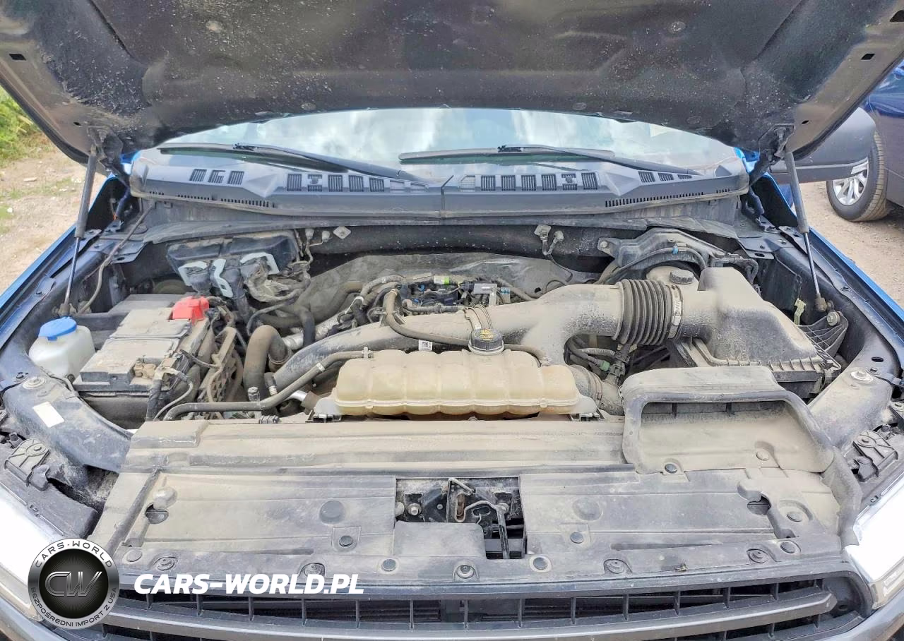 2019 Ford F150 Supercrew VIN:1FTEW1EP5KFC06964 - 11