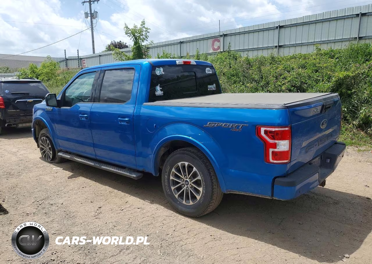 2019 Ford F150 Supercrew VIN:1FTEW1EP5KFC06964 - 2
