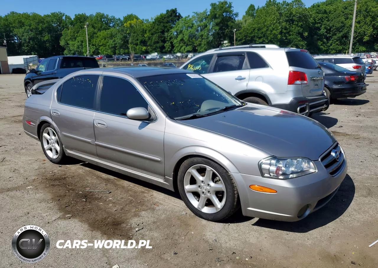 2002 Nissan Maxima Gxe VIN:JN1DA31D72T203148 - 4
