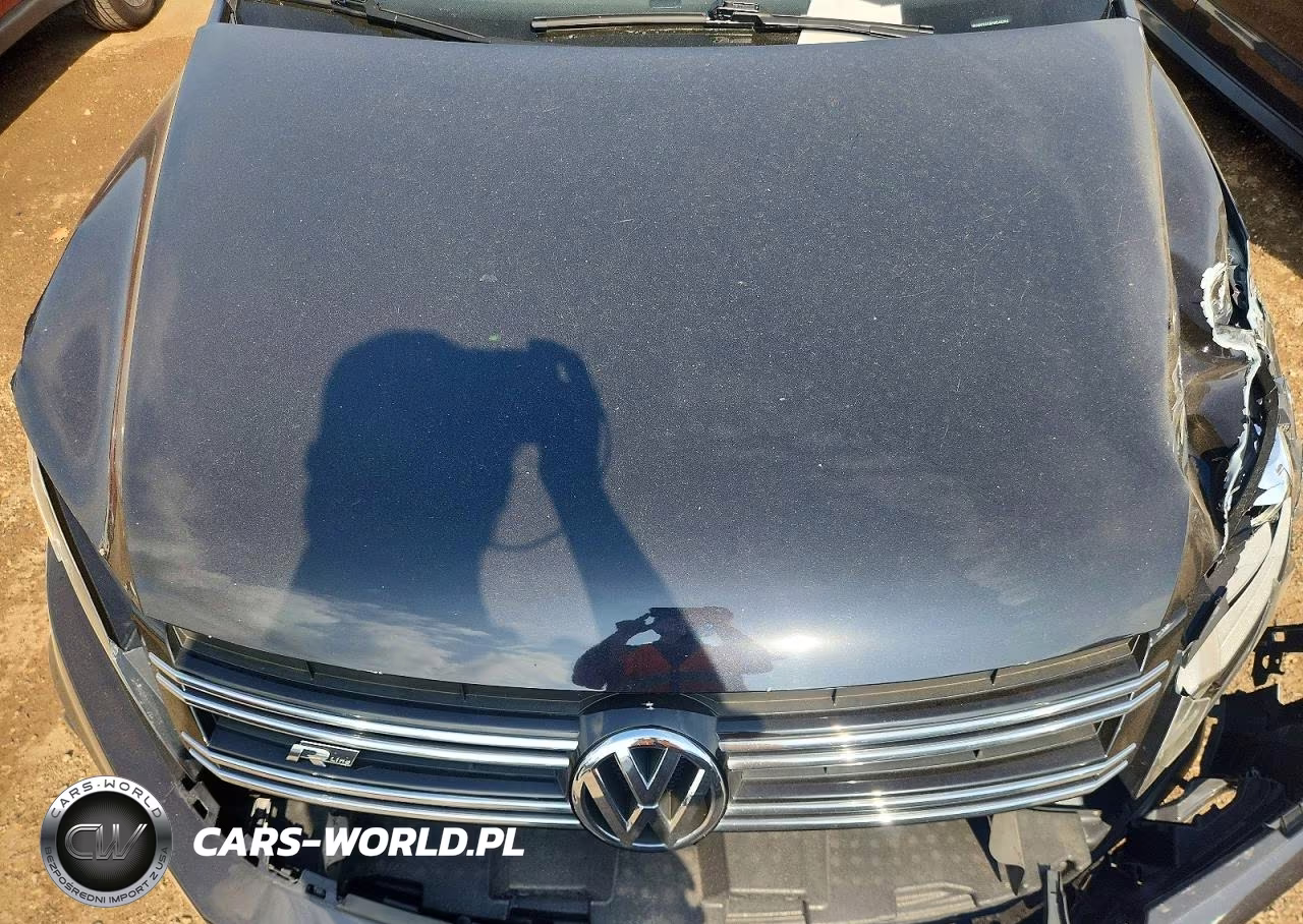 2014 Volkswagen Tiguan S VIN:WVGBV3AX8EW548285 - 11