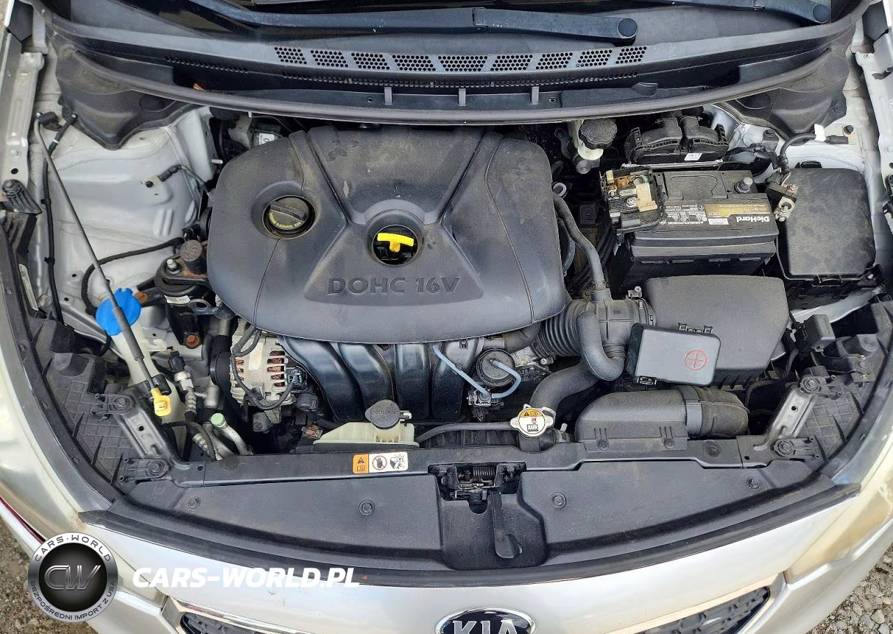 2016 Kia Forte Lx VIN:KNAFK4A66G5445013 - 11