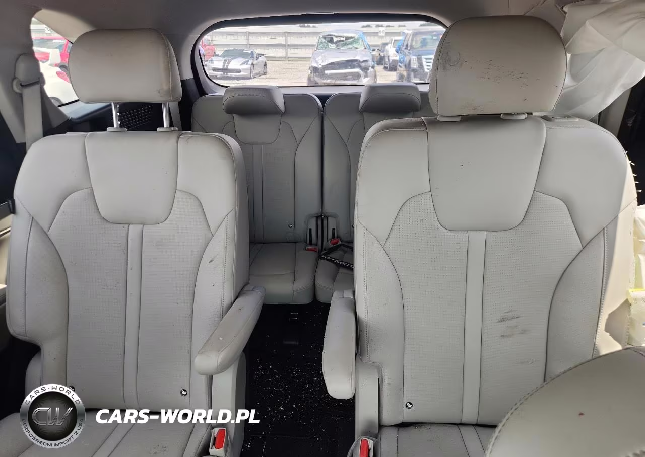 2024 Kia Sorento Sx VIN:5XYRK4JF8RG278003 - 10