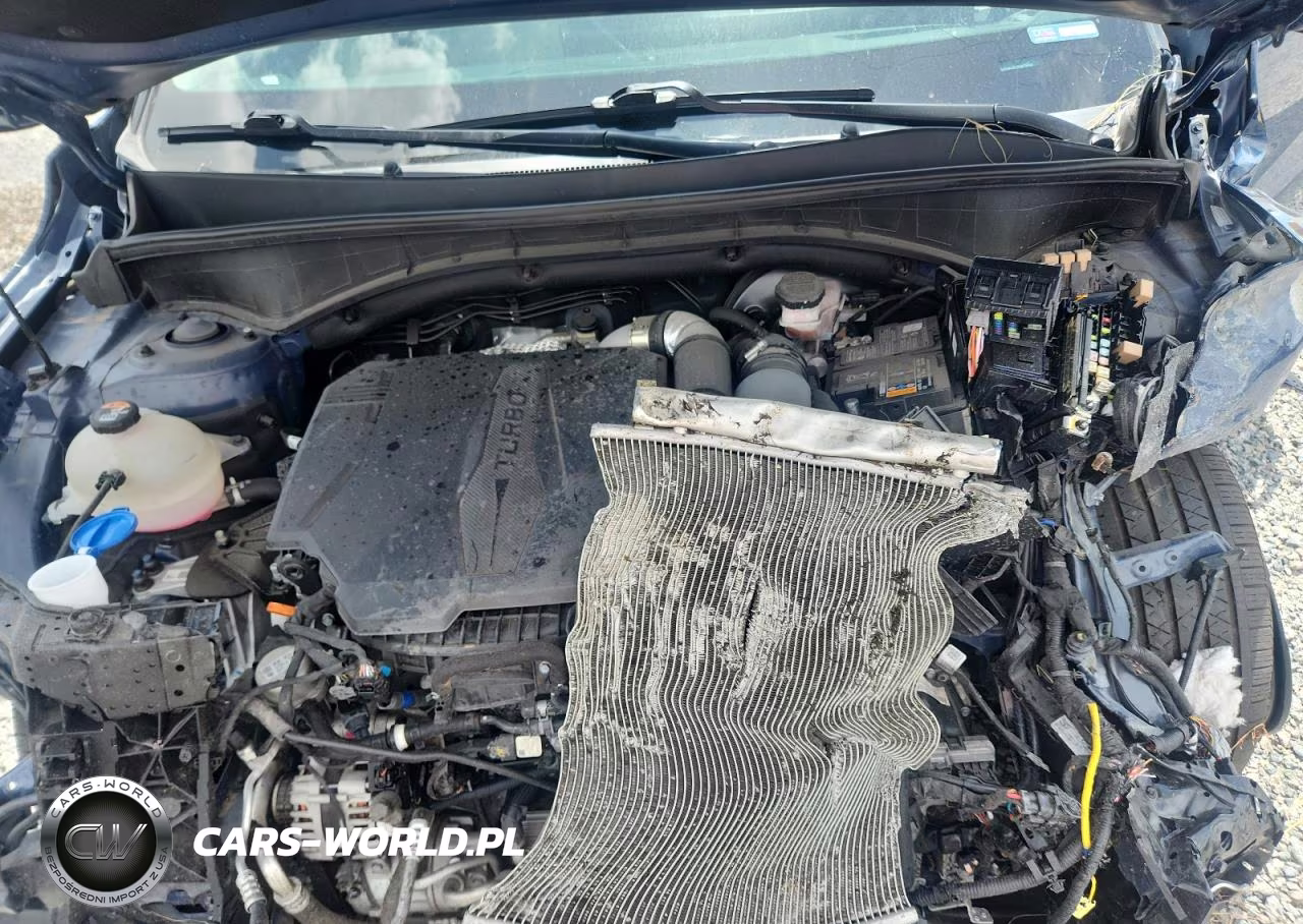 2024 Kia Sorento Sx VIN:5XYRK4JF8RG278003 - 12