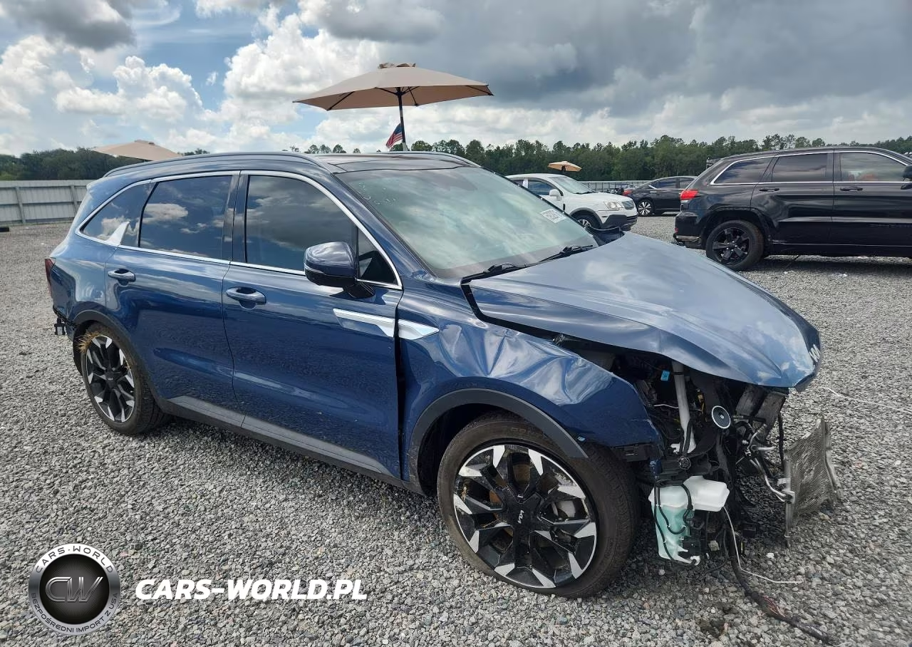 2024 Kia Sorento Sx VIN:5XYRK4JF8RG278003 - 4
