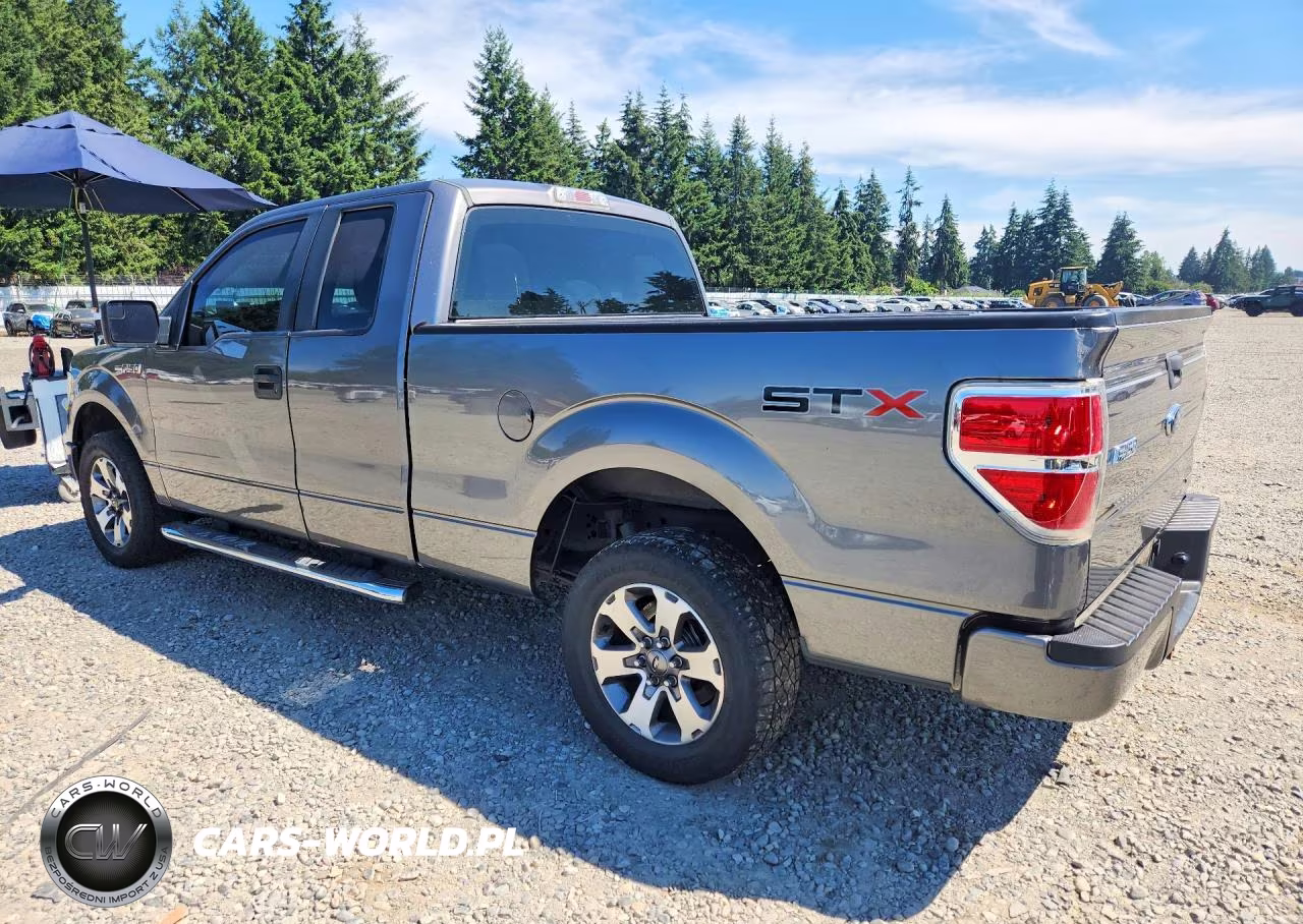 2013 Ford F150 Super Cab VIN:1FTFX1CF1DFC61572 - 2