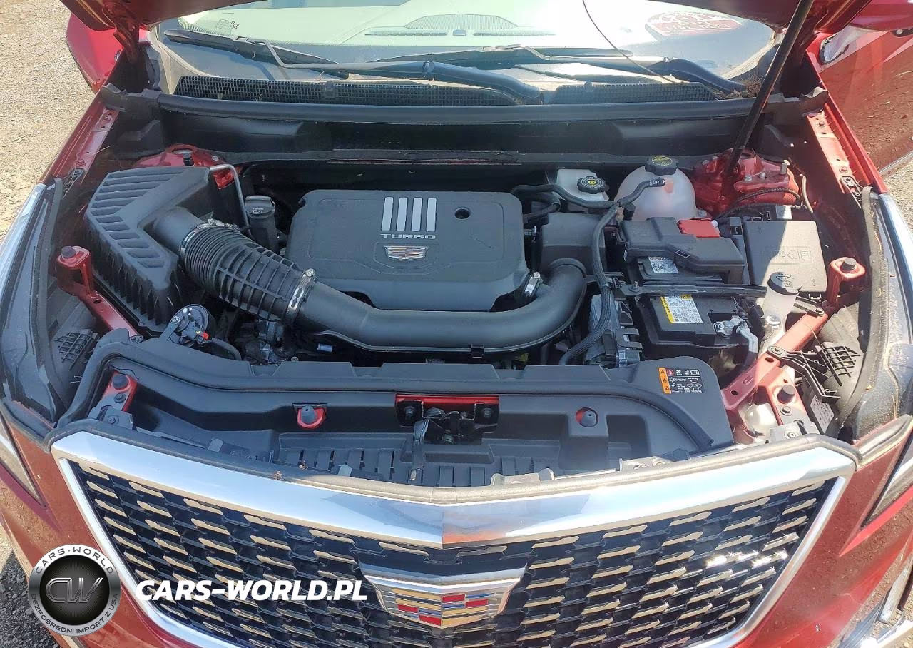 2025 Cadillac Xt5 Premium Luxury VIN:1GYKNDR43SZ146862 - 12