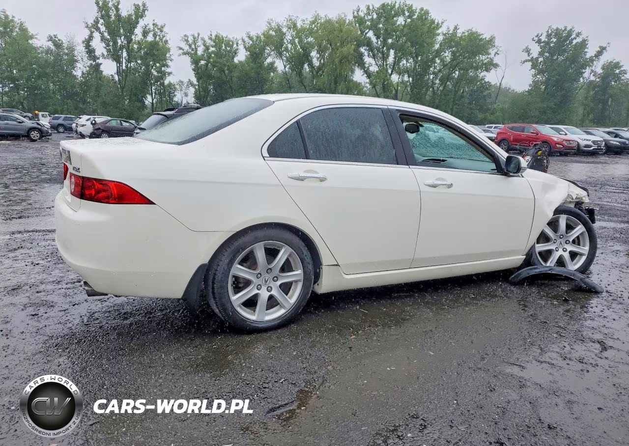 2004 Acura Tsx VIN:JH4CL96864C030998 - 3