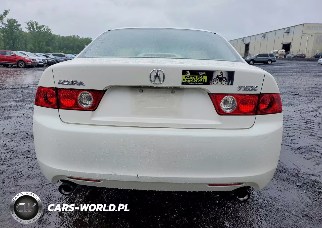 2004 Acura Tsx VIN:JH4CL96864C030998 - 6