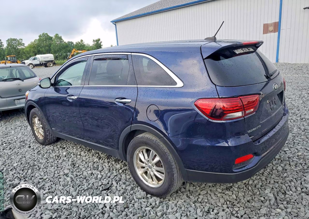 2020 Kia Sorento Lx VIN:5XYPGDA38LG670209 - 2