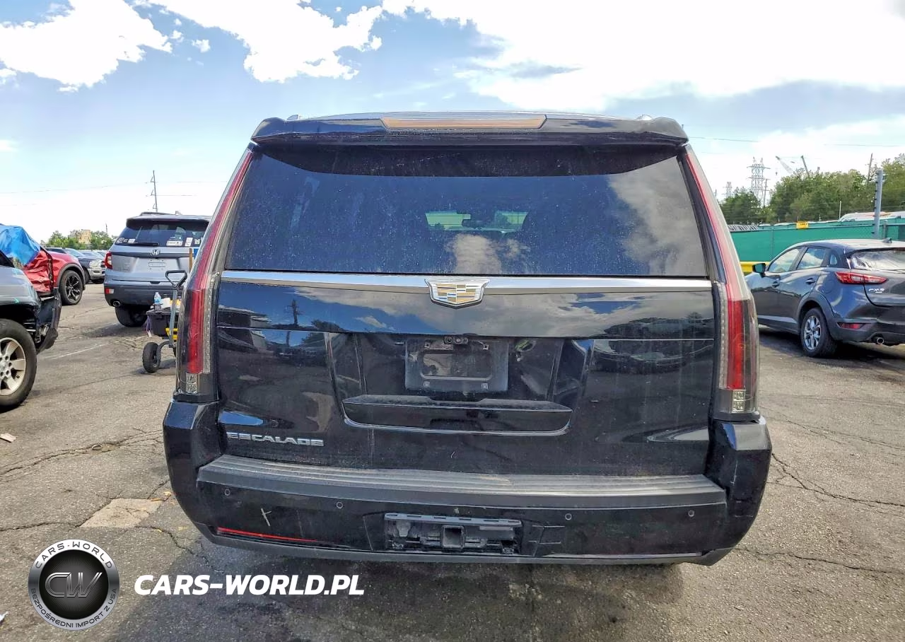 2019 Cadillac Escalade Esv Luxury VIN:1GYS3HKJ8KR158745 - 6