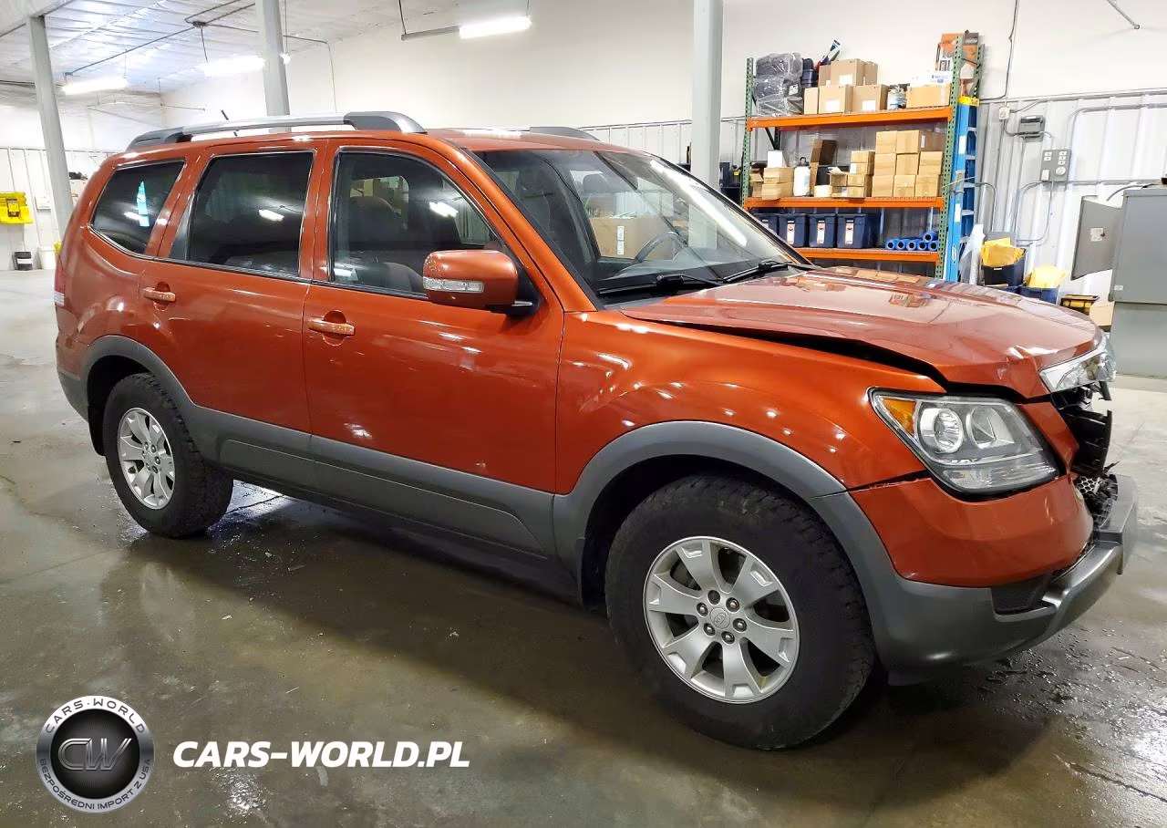 2009 Kia Borrego Lx VIN:KNDJH741X95025433 - 4