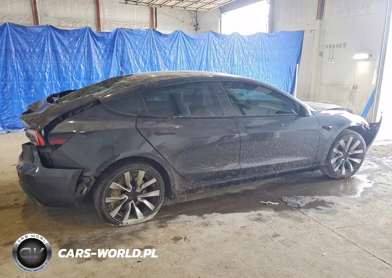 2024 Tesla Model 3 VIN:5YJ3E1EA4RF830114 - 3