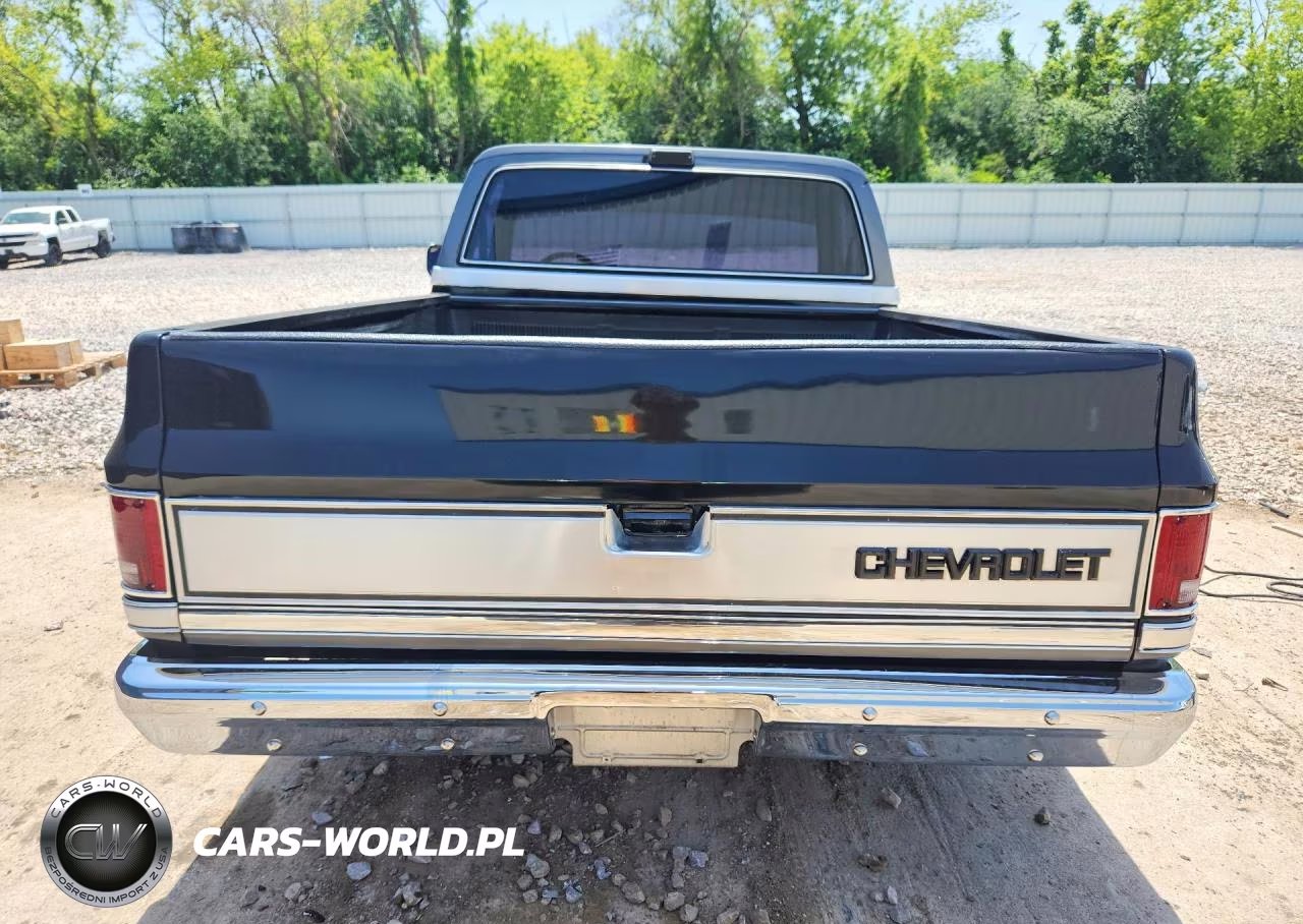 1986 Chevrolet C10 VIN:1GCDC14H1GF428679 - 6