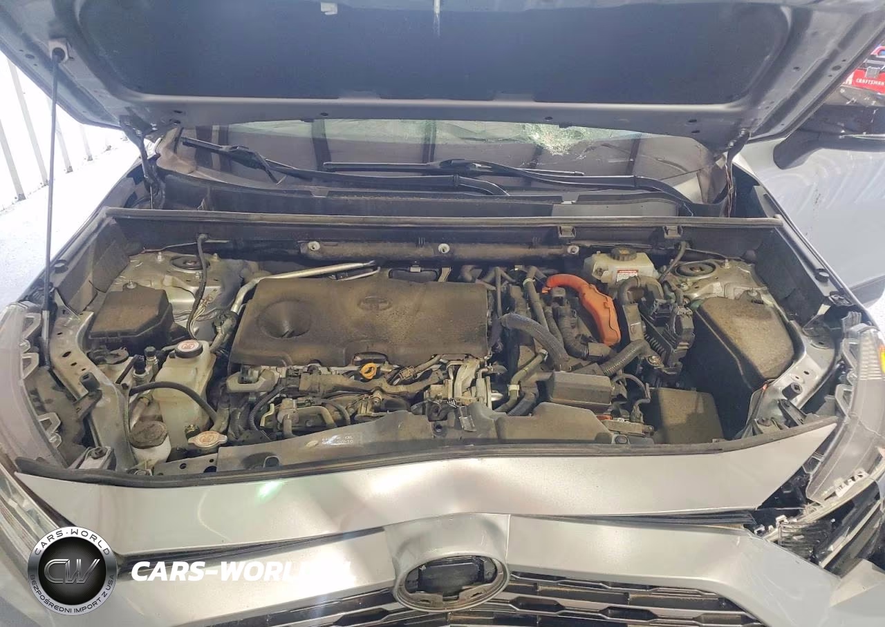 2019 Toyota Rav4 Xse VIN:2T3EWRFV5KW015264 - 12