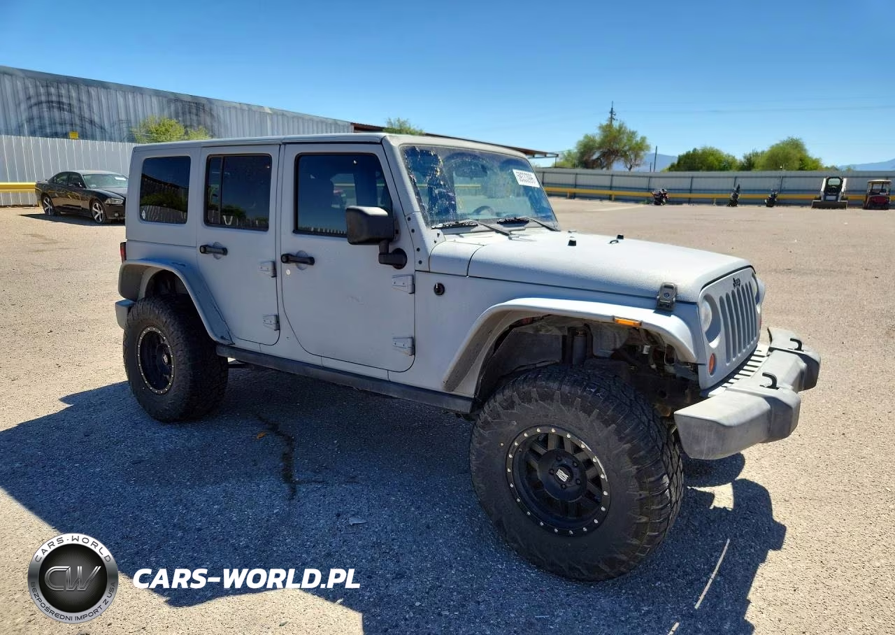 2009 Jeep Wrangler Unlimited Rubicon VIN:1J8GA69129L729423 - 4