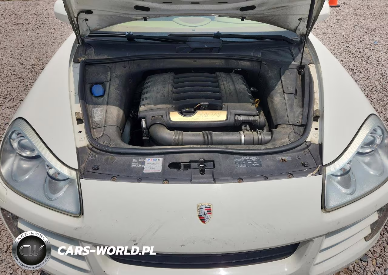 2009 Porsche Cayenne VIN:WP1AA29PX9LA05049 - 12