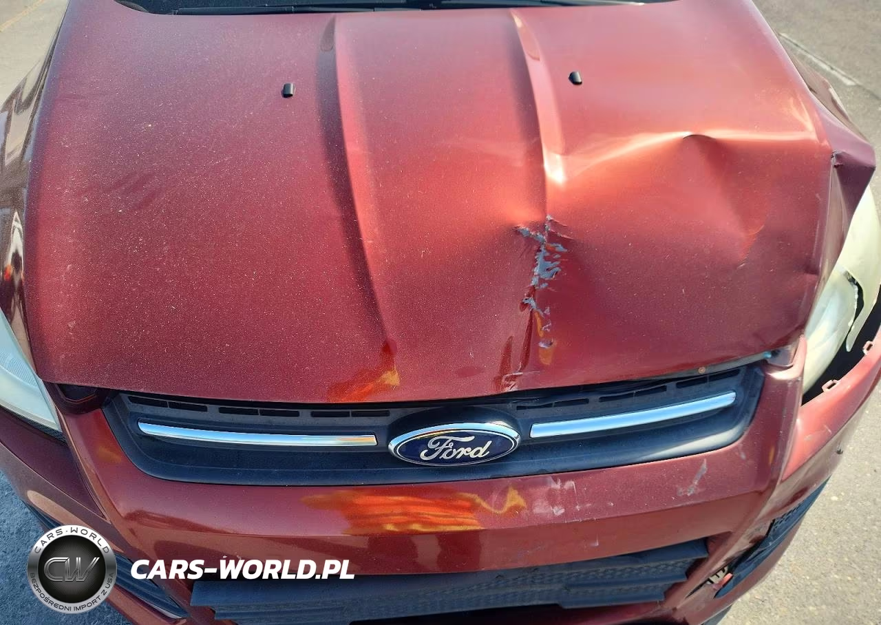 2016 Ford Escape Se VIN:1FMCU0G78GUA65620 - 12